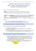 Exam (elaborations) BIOS 252 ANATOMY AND PHYSIOLOGY II WEEK 1 TO 8 ENTIRE (BIOS252 Week 4 Lab: CNS – Brain and Nervous System Disease and Dysfunction Part A: Lab Manual Exercises 20: Brain Structure and Function Part B: Analysis of Central Nervous System 