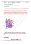 BIO 202L Lab 11 Worksheet- The Circulatory System