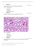 ANATOMY AN 2347L A&P II LAB Module 1 Quiz Answers