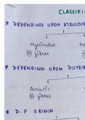 Summary on classification of nerve fibres for 1st year physiotherapy