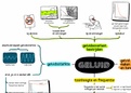 mindmap samenvatting nova NaSk 1-2 havo vwo