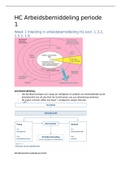 Arbeidsbemiddeling Fontys Periode 1