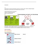 Samenvatting havo 3 scheikunde boek chemie overal hoofdstuk 4 helemaal+ 3.1 3.2 en 3.3