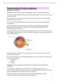 Oculaire anatomie: de Retina 