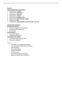 Samenvatting overview 3