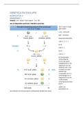 Samenvatting Introduction to Genetic Analysis, ISBN: 9781429276344  Genetica En Evolutie (5102GEEV6Y)