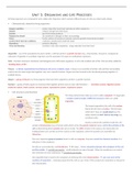  Grade 9-1 Edexcel International GCSE Biology, Unit 1 organisms and life processes