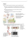 Algemene Fysiologie - Thema 9
