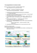 Biologie Nectar h19 DNA   H20 Eiwit (zeer uitgebreid   plaatjes!)