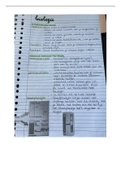 bio samenvatting thema 3 bloedsomloop