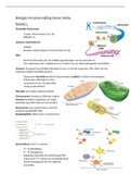 DNA, RNA transcriptie en translatie