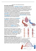 BVJ Thema 2 Transport 6 VWO Basisstof 3 