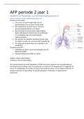 Samenvatting AFP periode 2 jaar 1