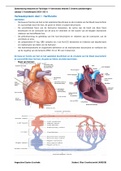 Samenvatting Kennistoets Anatomie en Fysiologie Leerjaar 2, Kwartiel 1  of 3 (Interne)