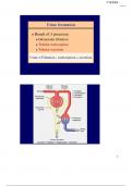 Summary Guyton and Hall Textbook of Medical Physiology -  MBBS