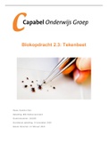 Blokopdracht 2.3 Tekenbeet  