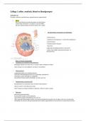 Volledige bundel biologie cursus