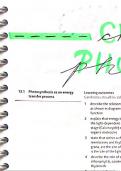 CAIE  A-LEVEL BIOLOGY- CHAPTER 13: PHOTOSYNTHESIS