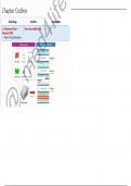 CAIE A-LEVEL BIOLOGY - CHAPTER 18: GENE TECHNOLOGY