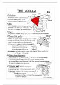 Class notes Muskan 20   Bd Chaurasia's Handbook of General Anatomy