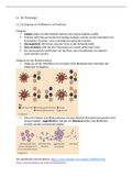 Notizen zum IB Oxford Biology Kapitel  11. Tierphysiologie  (deutsch)