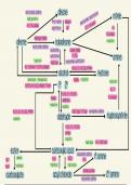 Synthetic Routes Cheat Sheet