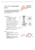 Samenvatting Deeltentamen 1 en 2 van Hormonen en Homeostase - Biomedische Wetenschappen UU