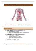 Samenvatting: Bloedvaten en bloedsomloop
