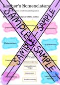 Lischer’s nomenclature matching exercise