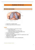 Samenvatting: Het hart