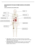                                                                      Essay Unit 8 Assignment B: Physiology of the Human Body Systems