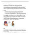 Cardiovasculaire stelsel, het hart