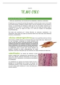 Histologia