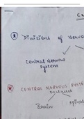 introduction to central nervous system