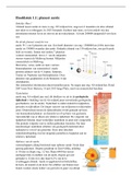 samenvatting hoofdstuk 1, systeem aarde