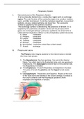 respiration system