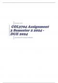 COL3704 Assignment 3 Semester 2 2024 - DUE 2024