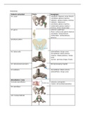 samenvatting  anatomie blok d levensfasen, ademhalingsspieren, wervelkolom, romp, heup, bekken etc