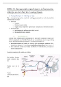 Samenvatting Geneesmiddelen bij pijn, inflammatie, allergie en ivm het immuunsysteem