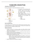 Fisiología: Función Digestiva