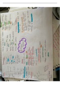 Organic synthesis A level chemistry poster