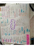 Summary of all of organic chemistry- OCR a level chemistry