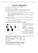 Fisiología: Ciclo cardiaco