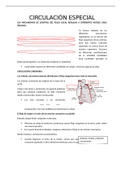 Fisiología: circulación especial