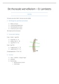 MSK 3 - TWZ - D Lambeets