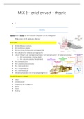 SV - theorie Enkel & Voet