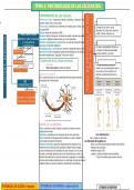 Psicobiología de las células del sistema nervioso