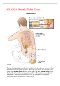 NR NSGA  Uworld Nclex Notes,100% CORRECT