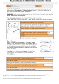 AA 1_M2L2_ Gizmo Lab #2_ Earthquake Determination of Epicenter - Honors.docx