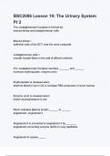 BSC2086 Lesson 19 The Urinary System Pt 2